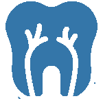 Root Canals